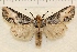  ( - IAWAZ-0913)  @13 [ ] Unspecified (default): All Rights Reserved  Unspecified Unspecified