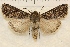  ( - IAWAZ-0914)  @14 [ ] Unspecified (default): All Rights Reserved  Unspecified Unspecified