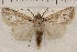  ( - IAWAZ-0916)  @11 [ ] Unspecified (default): All Rights Reserved  Unspecified Unspecified
