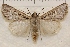  ( - IAWAZ-0919)  @15 [ ] Unspecified (default): All Rights Reserved  Unspecified Unspecified