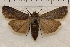  ( - IAWAZ-0928)  @12 [ ] Unspecified (default): All Rights Reserved  Unspecified Unspecified