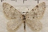  ( - IAWAZ-0937)  @12 [ ] Unspecified (default): All Rights Reserved  Unspecified Unspecified
