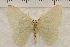  ( - IAWAZ-0938)  @13 [ ] Unspecified (default): All Rights Reserved  Unspecified Unspecified