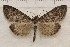  ( - IAWAZ-0941)  @14 [ ] Unspecified (default): All Rights Reserved  Unspecified Unspecified