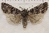  ( - IAWAZ-0946)  @13 [ ] Unspecified (default): All Rights Reserved  Unspecified Unspecified