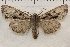  ( - IAWAZ-0949)  @13 [ ] Unspecified (default): All Rights Reserved  Unspecified Unspecified