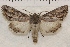  ( - IAWAZ-0951)  @14 [ ] Unspecified (default): All Rights Reserved  Unspecified Unspecified