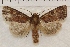  ( - IAWAZ-0965)  @13 [ ] Unspecified (default): All Rights Reserved  Unspecified Unspecified