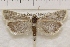  ( - IAWAZ-0978)  @14 [ ] Unspecified (default): All Rights Reserved  Unspecified Unspecified