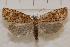  ( - IAWAZ-0980)  @13 [ ] Unspecified (default): All Rights Reserved  Unspecified Unspecified