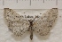  ( - IAWAZ-0987)  @12 [ ] Unspecified (default): All Rights Reserved  Unspecified Unspecified