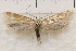  ( - IAWAZ-0993)  @13 [ ] Unspecified (default): All Rights Reserved  Unspecified Unspecified