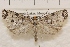  ( - IAWAZ-0998)  @13 [ ] Unspecified (default): All Rights Reserved  Unspecified Unspecified
