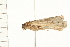 ( - BAHA-027)  @12 [ ] CreativeCommons - Attribution (2008) Unspecified Centre for Biodiversity Genomics
