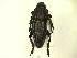  ( - CLV0809)  @12 [ ] Unspecified (default): All Rights Reserved  Unspecified Unspecified