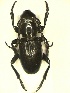  ( - CLV1509)  @12 [ ] Unspecified (default): All Rights Reserved  Unspecified Unspecified