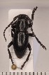  ( - CLV2096)  @11 [ ] Copyright (2011) David C. Lees Unspecified