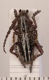  ( - CLV2101)  @14 [ ] Copyright (2011) David C. Lees Unspecified