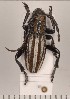  ( - CLV210810)  @13 [ ] Copyright (2011) David C. Lees Unspecified