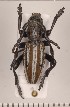  ( - CLV210910)  @13 [ ] Copyright (2011) David C. Lees Unspecified
