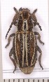  ( - CLV2116)  @12 [ ] Copyright (2011) David C. Lees Unspecified
