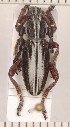  ( - CLV2129)  @13 [ ] Copyright (2011) David C. Lees Unspecified