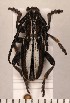  ( - CLV2133)  @13 [ ] Copyright (2011) David C. Lees Unspecified