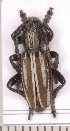  ( - CLV2144)  @13 [ ] Copyright (2011) David C. Lees Unspecified