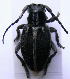  ( - CLV2309)  @12 [ ] Unspecified (default): All Rights Reserved  Unspecified Unspecified