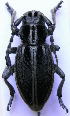  ( - CLV2709)  @12 [ ] Unspecified (default): All Rights Reserved  Unspecified Unspecified