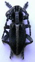  ( - CLV2809)  @12 [ ] Unspecified (default): All Rights Reserved  Unspecified Unspecified