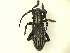  ( - CLV5309)  @13 [ ] Unspecified (default): All Rights Reserved  Unspecified Unspecified