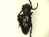  ( - CLV5709)  @12 [ ] Unspecified (default): All Rights Reserved  Unspecified Unspecified