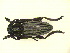  ( - CLV6409)  @12 [ ] Unspecified (default): All Rights Reserved  Unspecified Unspecified