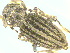  ( - CLV6909)  @11 [ ] Unspecified (default): All Rights Reserved  Unspecified Unspecified