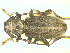  ( - CLV7609)  @13 [ ] Unspecified (default): All Rights Reserved  Unspecified Unspecified