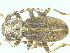  ( - CLV7709)  @13 [ ] Unspecified (default): All Rights Reserved  Unspecified Unspecified