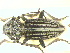  ( - CLV7809)  @11 [ ] Unspecified (default): All Rights Reserved  Unspecified Unspecified
