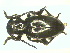  ( - CLV8309)  @11 [ ] Unspecified (default): All Rights Reserved  Unspecified Unspecified