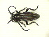  ( - CLV10309)  @12 [ ] Unspecified (default): All Rights Reserved  Unspecified Unspecified
