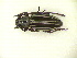  ( - CLV10609)  @11 [ ] Unspecified (default): All Rights Reserved  Unspecified Unspecified