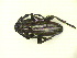  ( - CLV11209)  @12 [ ] Unspecified (default): All Rights Reserved  Unspecified Unspecified