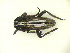  ( - CLV11309)  @12 [ ] Unspecified (default): All Rights Reserved  Unspecified Unspecified