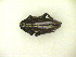  ( - CLV11409)  @12 [ ] Unspecified (default): All Rights Reserved  Unspecified Unspecified