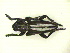  ( - CLV11909)  @12 [ ] Unspecified (default): All Rights Reserved  Unspecified Unspecified