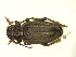 ( - CLV13109)  @13 [ ] Unspecified (default): All Rights Reserved  Unspecified Unspecified