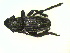  ( - CLV15409)  @12 [ ] Unspecified (default): All Rights Reserved  Unspecified Unspecified