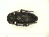  (Iberodorcadion seoanei kricheldorffi - CLV15709)  @12 [ ] Unspecified (default): All Rights Reserved  Unspecified Unspecified
