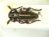  ( - CLV9709)  @11 [ ] Unspecified (default): All Rights Reserved  Unspecified Unspecified