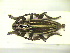 ( - CLV9809)  @11 [ ] Unspecified (default): All Rights Reserved  Unspecified Unspecified